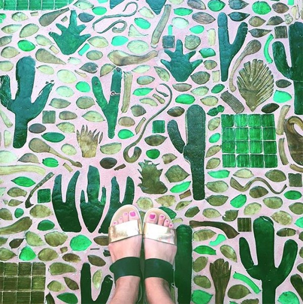 Alice Hu Photographs cactus mosaic on instagram, cactus trends home decor