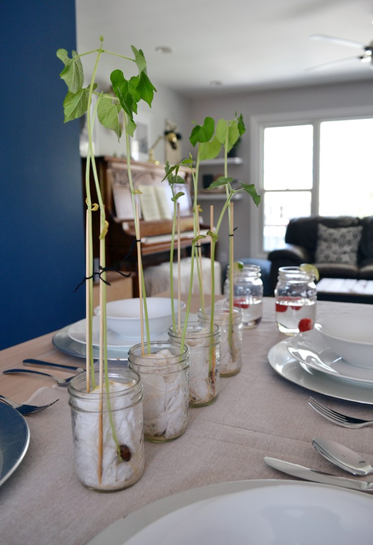 Kitchen table makeover from orange pine disaster to farmhouse chic harvest table with annie sloan Coco and a pickling stain top.