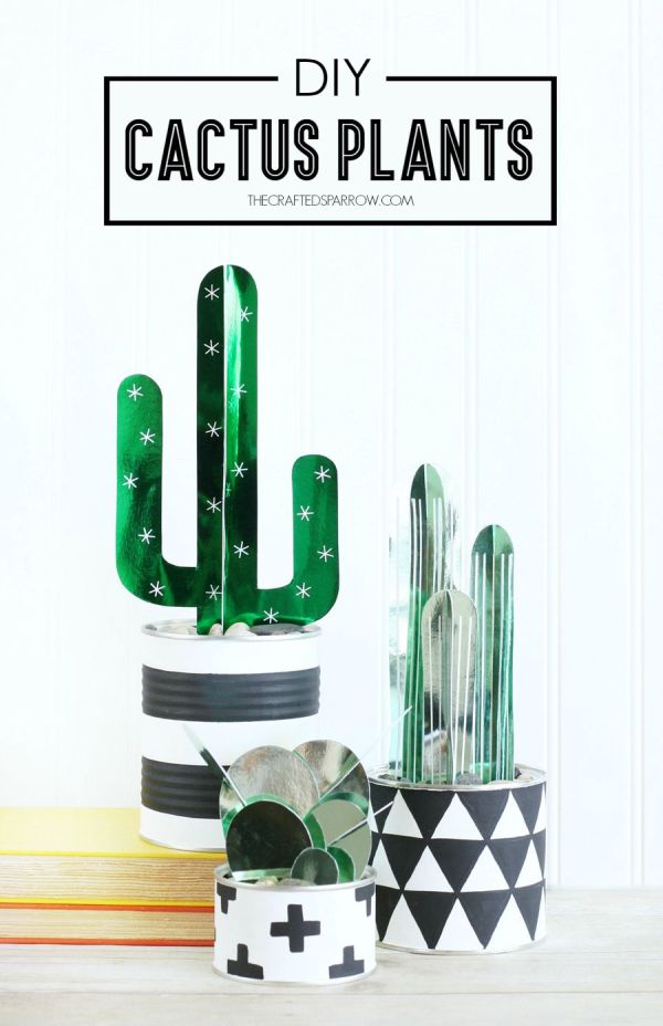 DIY cactus plants, amazing cactus trends in home decor